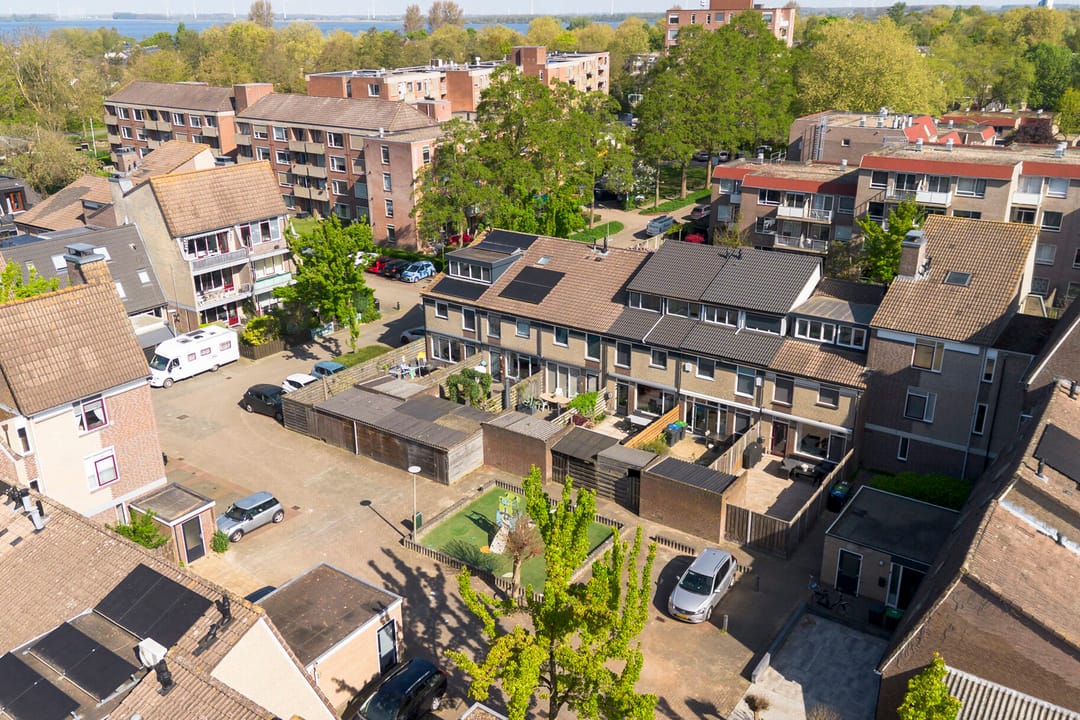 Photo 53 of Hoefbladmeen 45