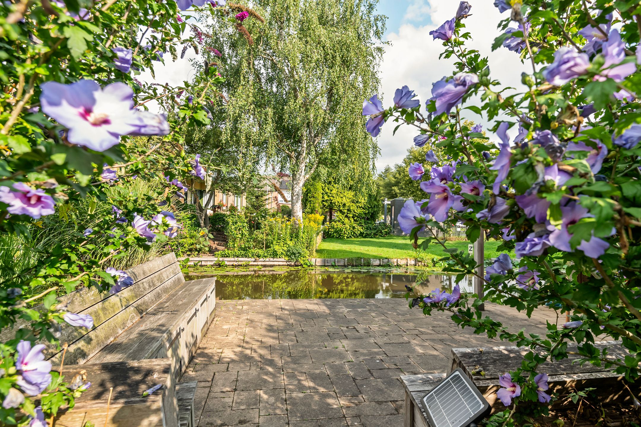 Photo 6 of Wetering 29