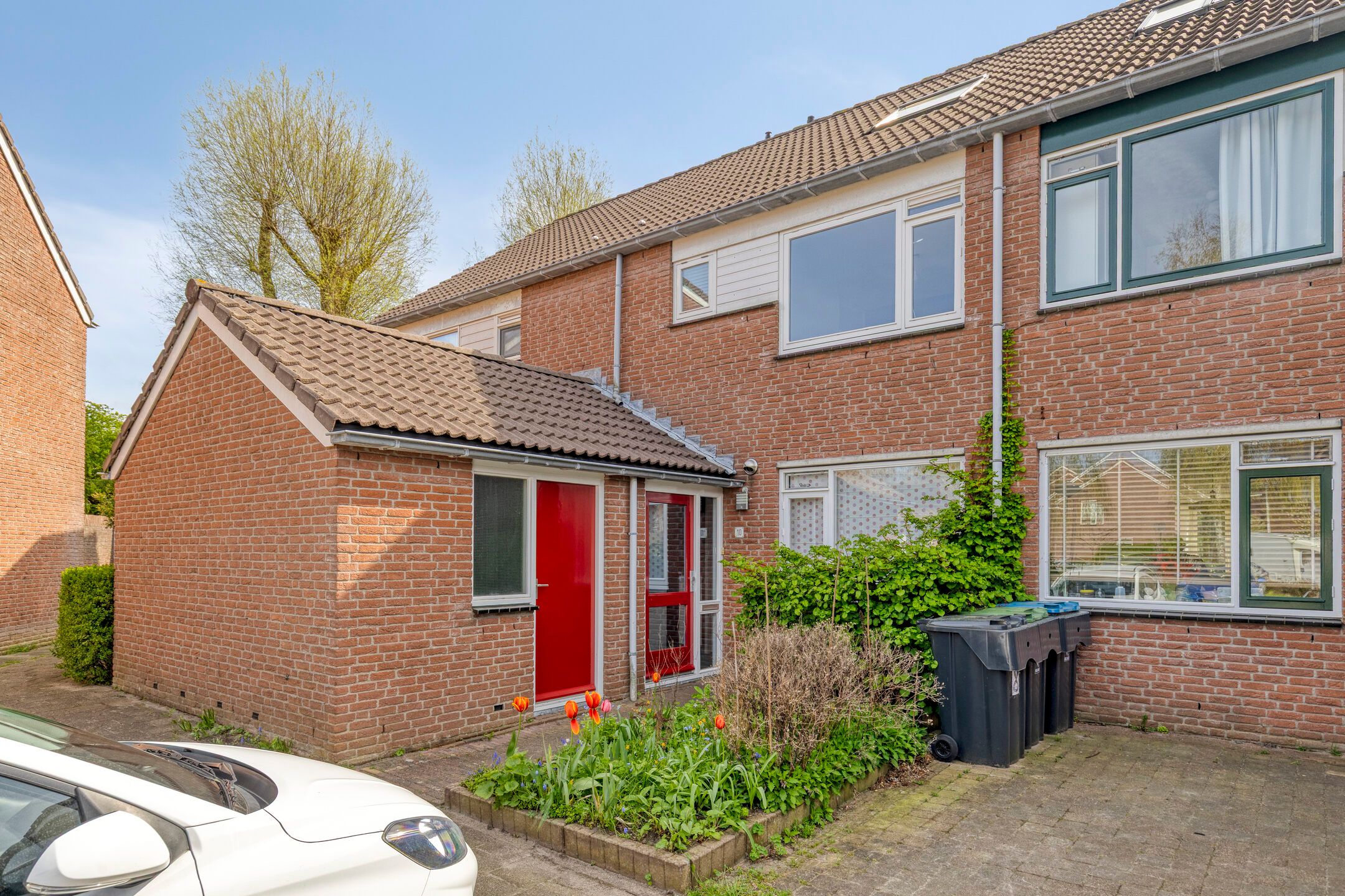 Beekforel 10 