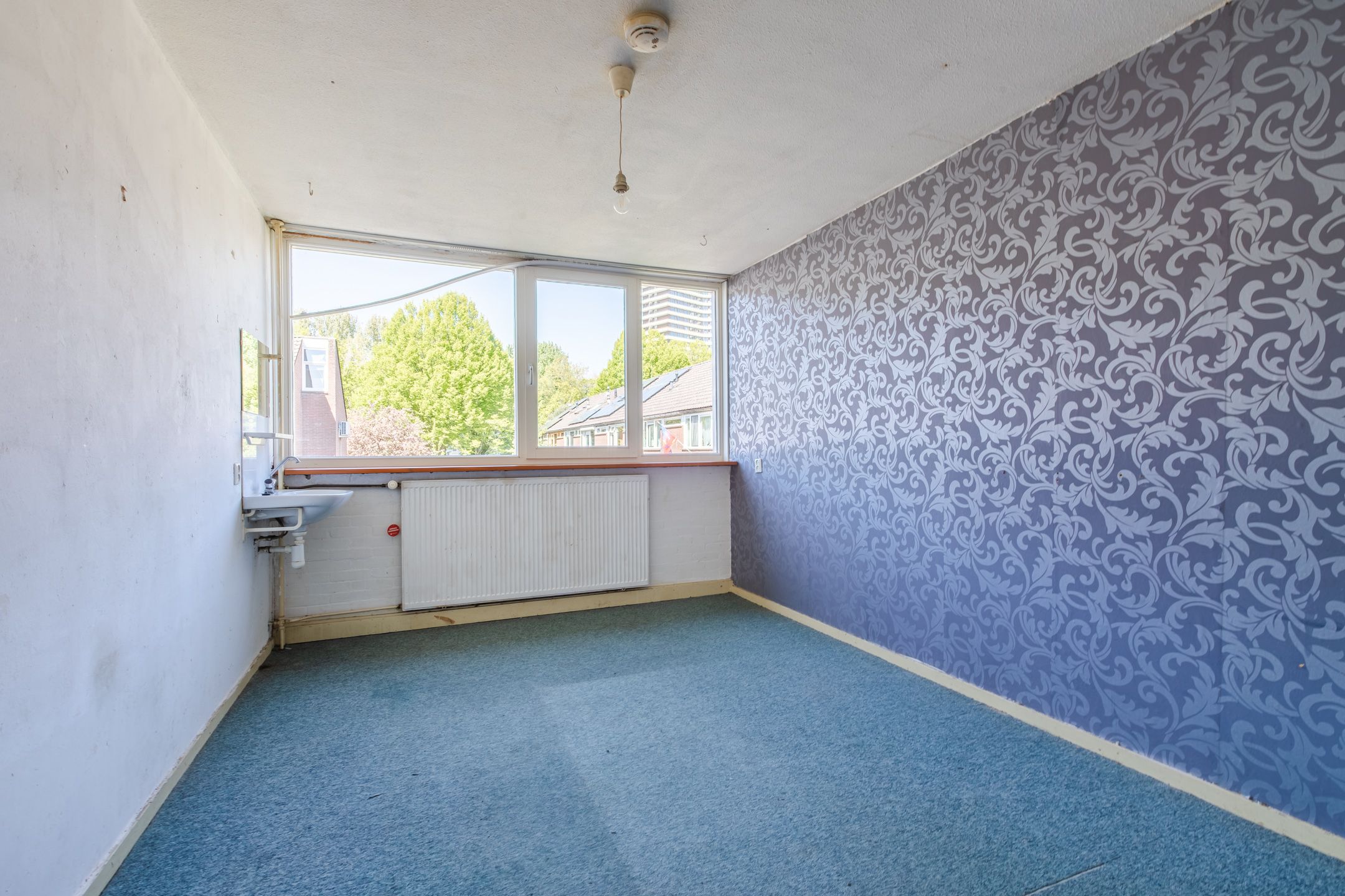 Photo 12 of Tarthorst 162