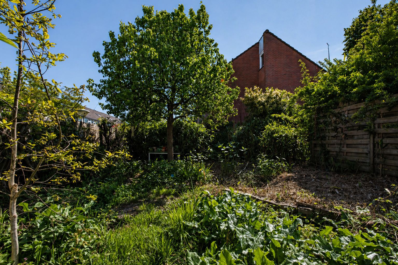 Photo 33 of Tarthorst 162