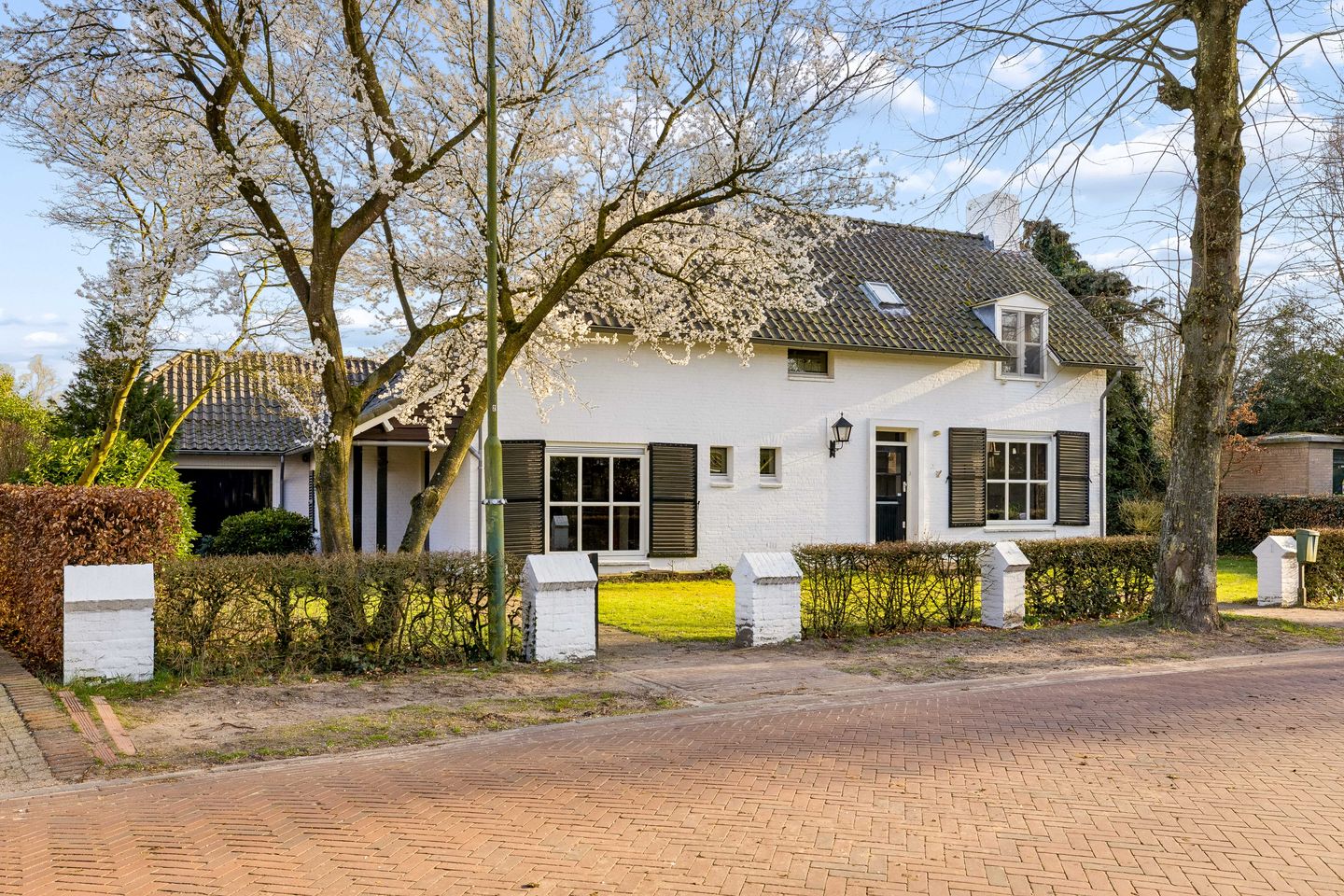Foto 4 van Tolentijnstraat 1
