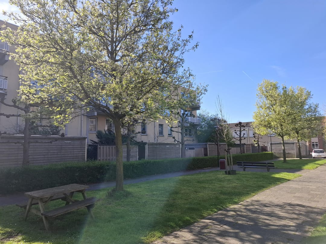 Photo 17 of Wijngaardstraat 17