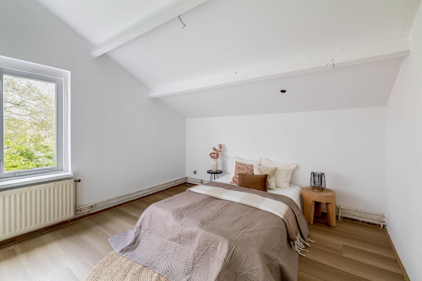 Foto 4 van Moerasvaren 12