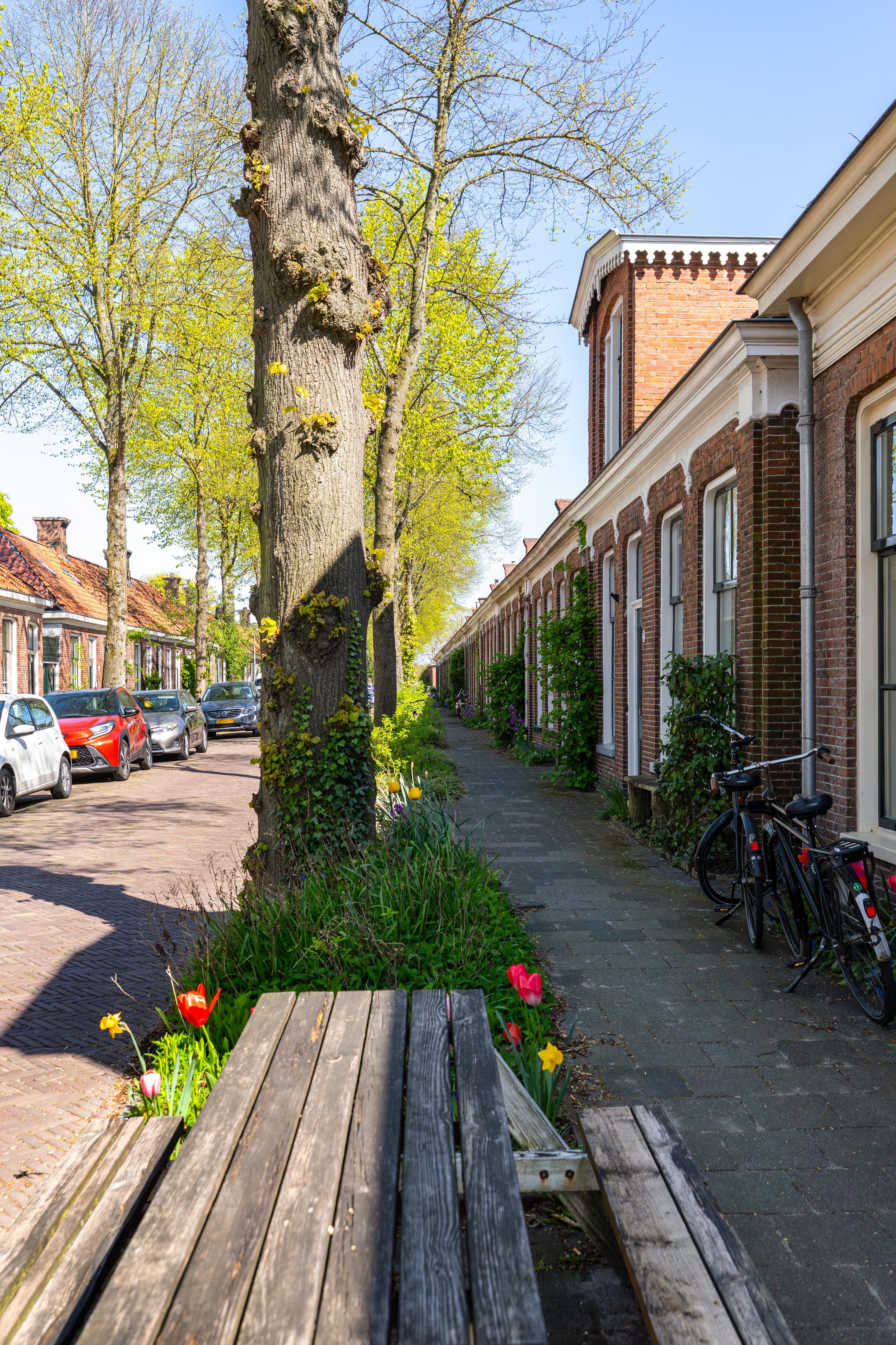 Photo 30 of Willemstraat 5