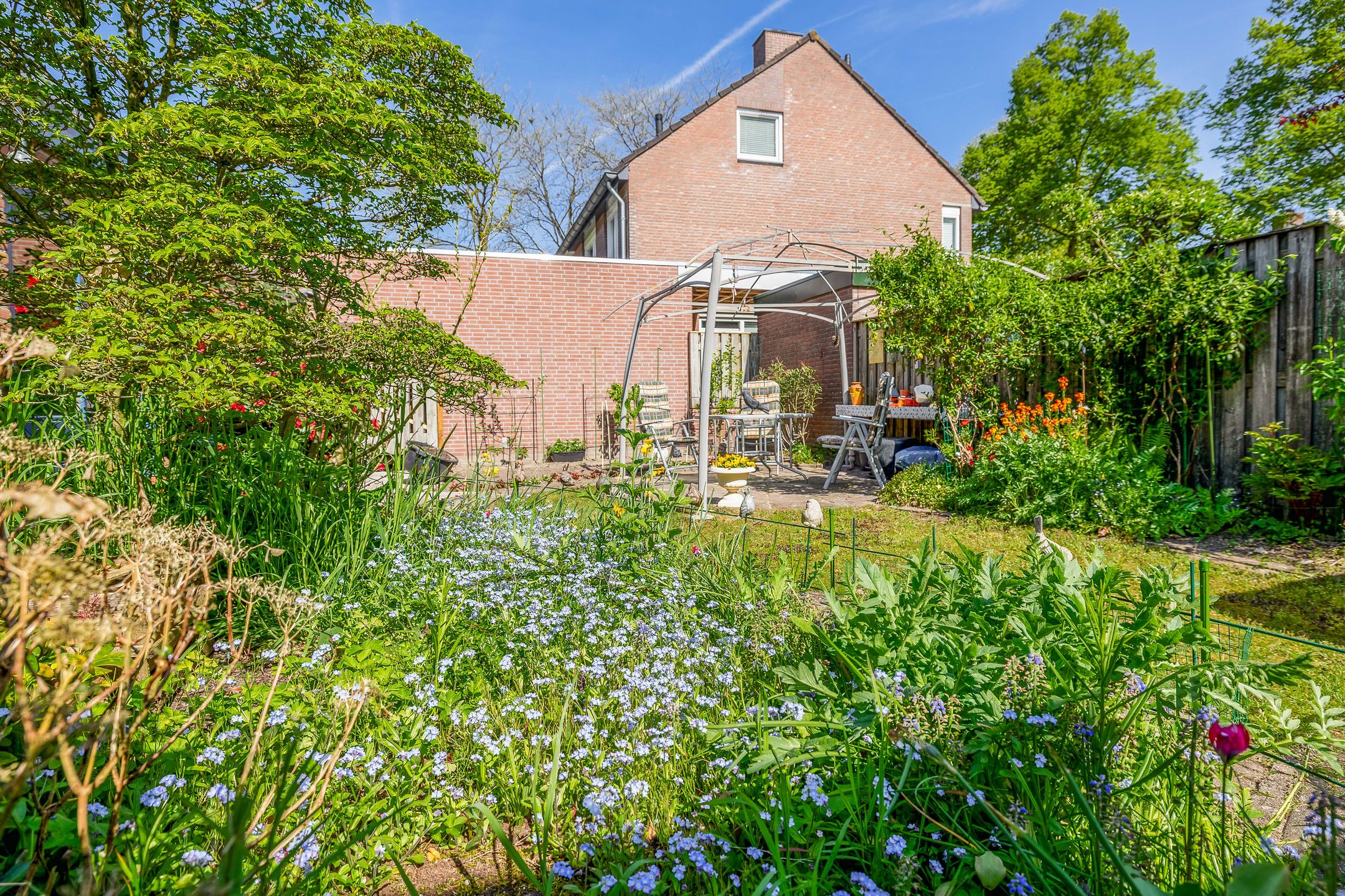 Photo 48 of Bergroosstraat 4