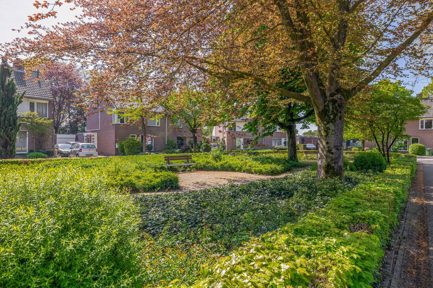 Photo 49 of Bergroosstraat 4