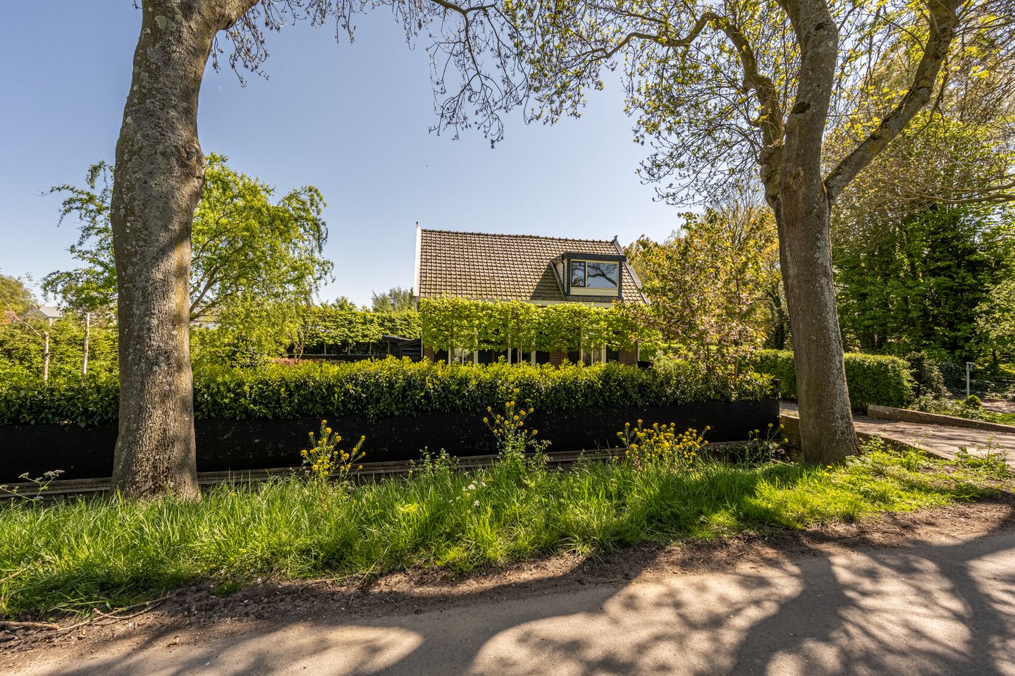 Photo 34 of Strijensedijk 12