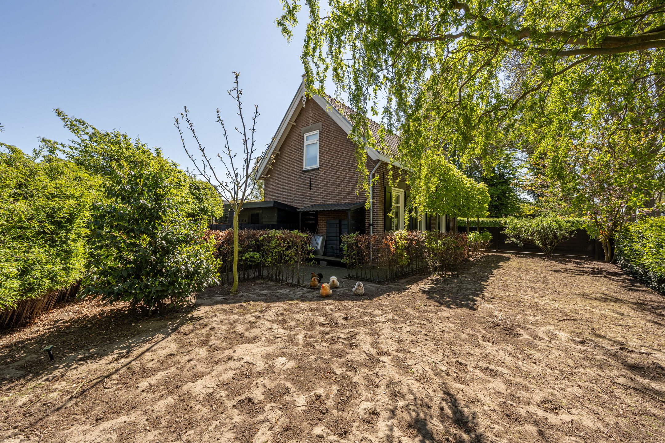 Photo 33 of Strijensedijk 12