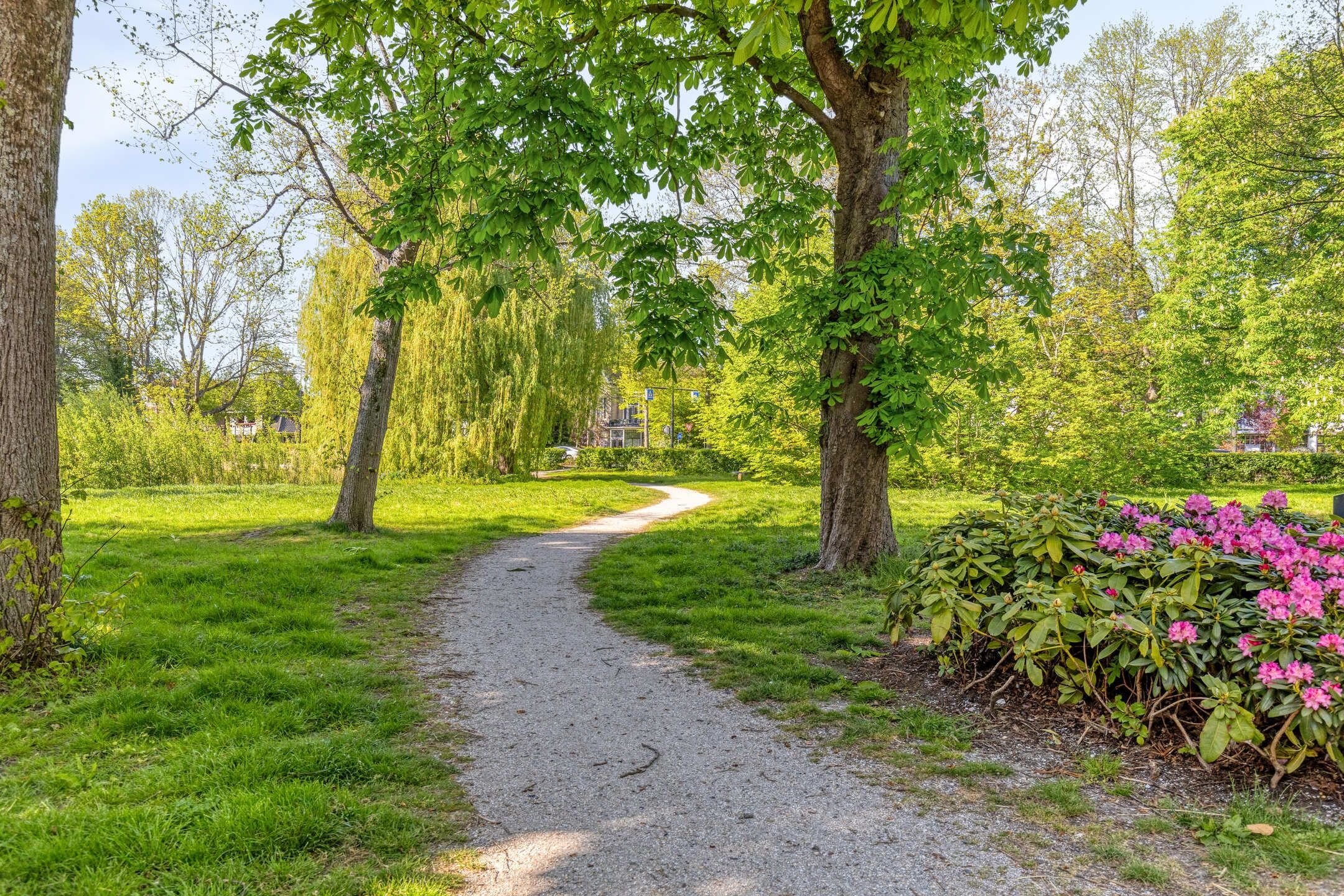 Spacious Semi-Detached Home with 6 Bedrooms and Large Garden in Leiden's Van Eijsingapark — 51
