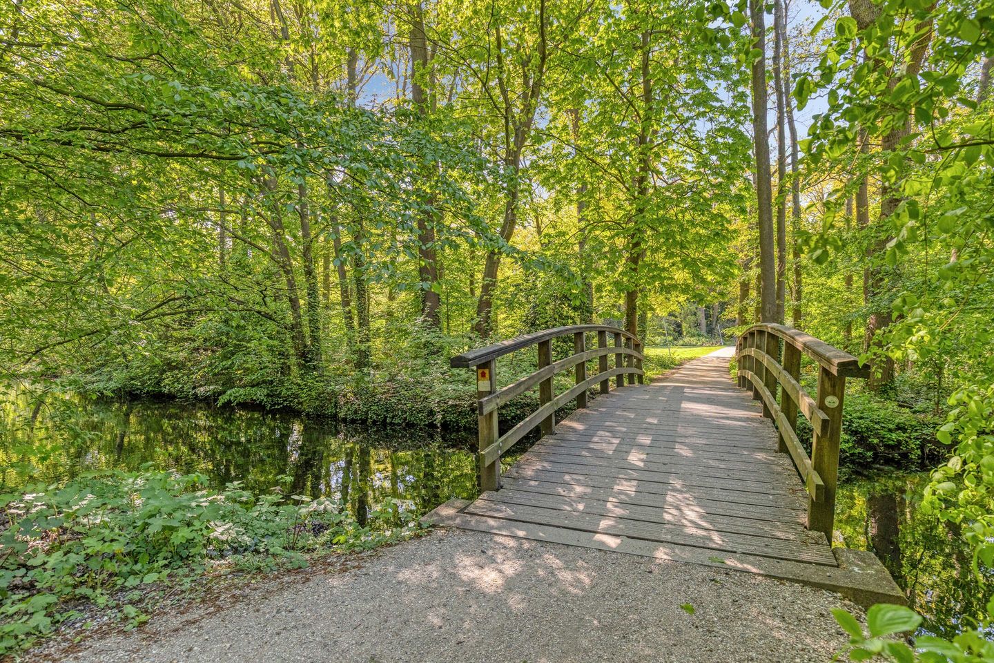 Spacious Semi-Detached Home with 6 Bedrooms and Large Garden in Leiden's Van Eijsingapark — 50