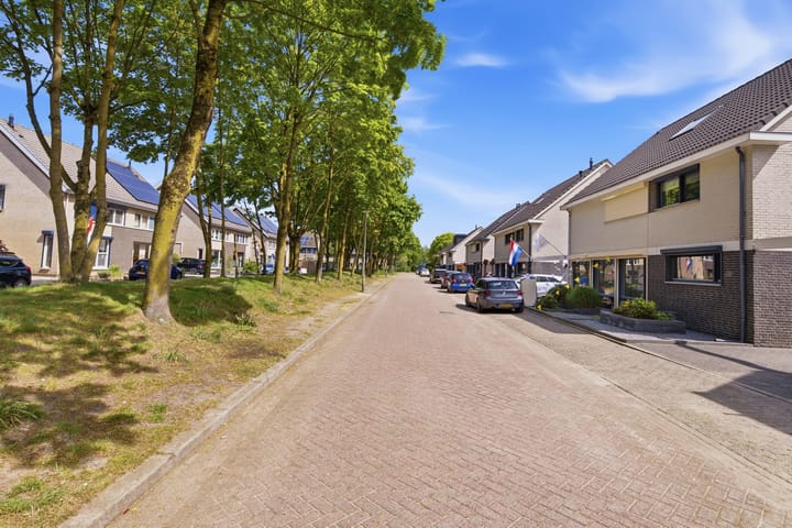 Foto 4 van Vingerhoedskruid 36