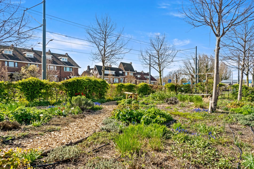 Foto 43 van Dirklangendwarsstraat 29