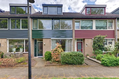 Rietgansstraat thumbnail