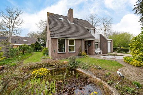 Boerhoorn thumbnail