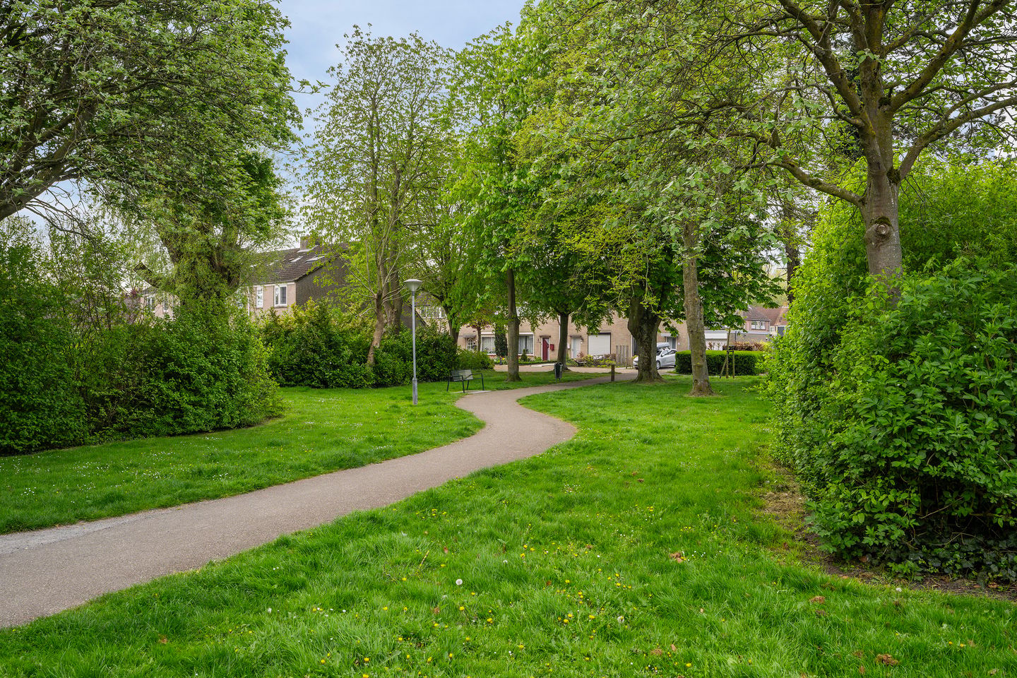 Photo 40 of Dokter Renesstraat 34