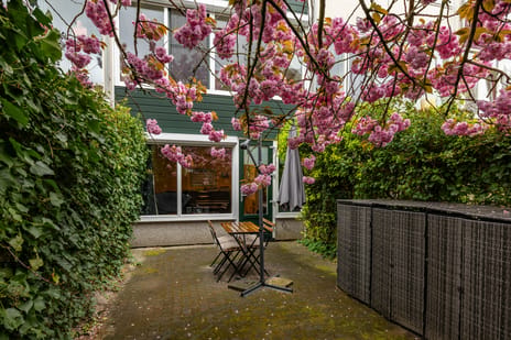 Topaasstraat thumbnail
