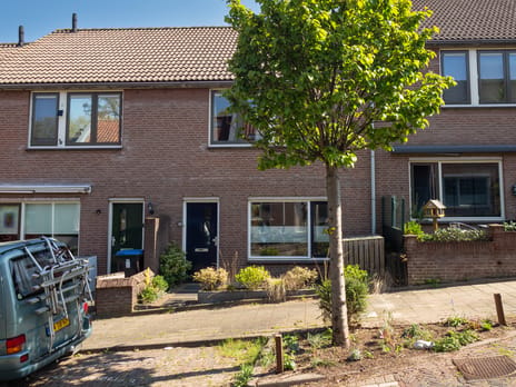 Palmstraat thumbnail