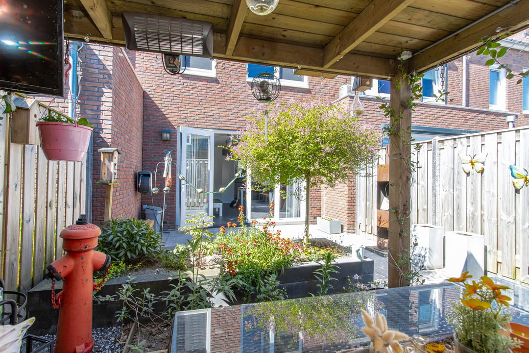 Photo 38 of Zonnebaars 15