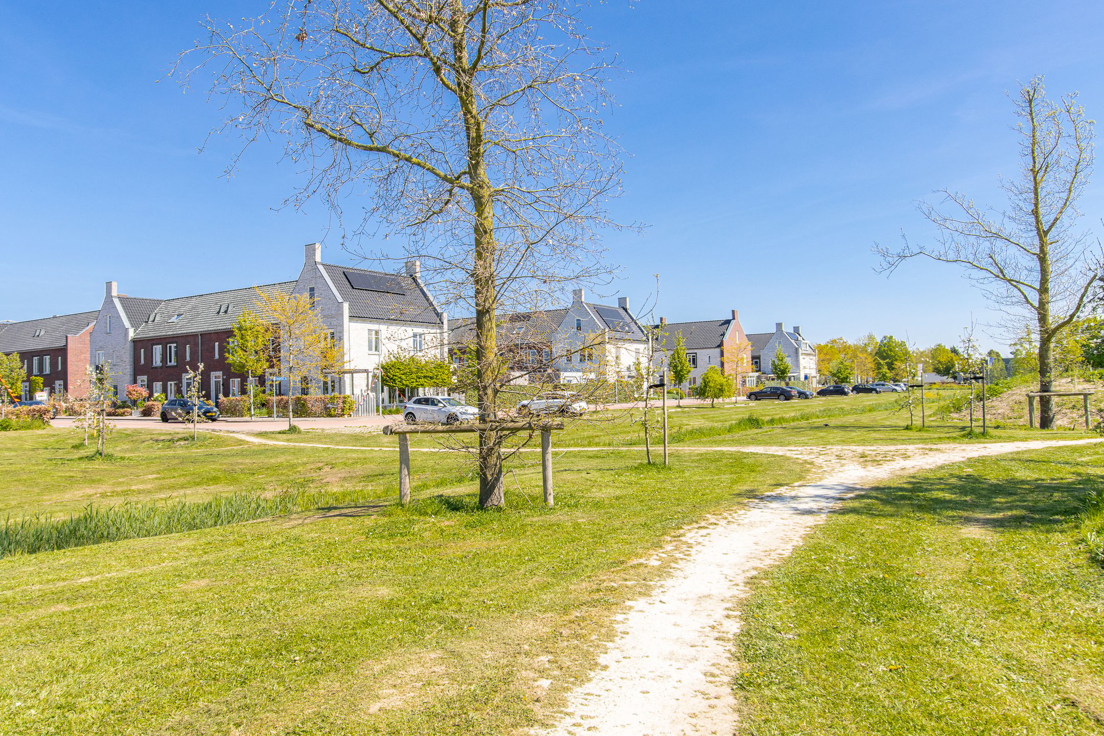 Photo 48 of Zonnebaars 15