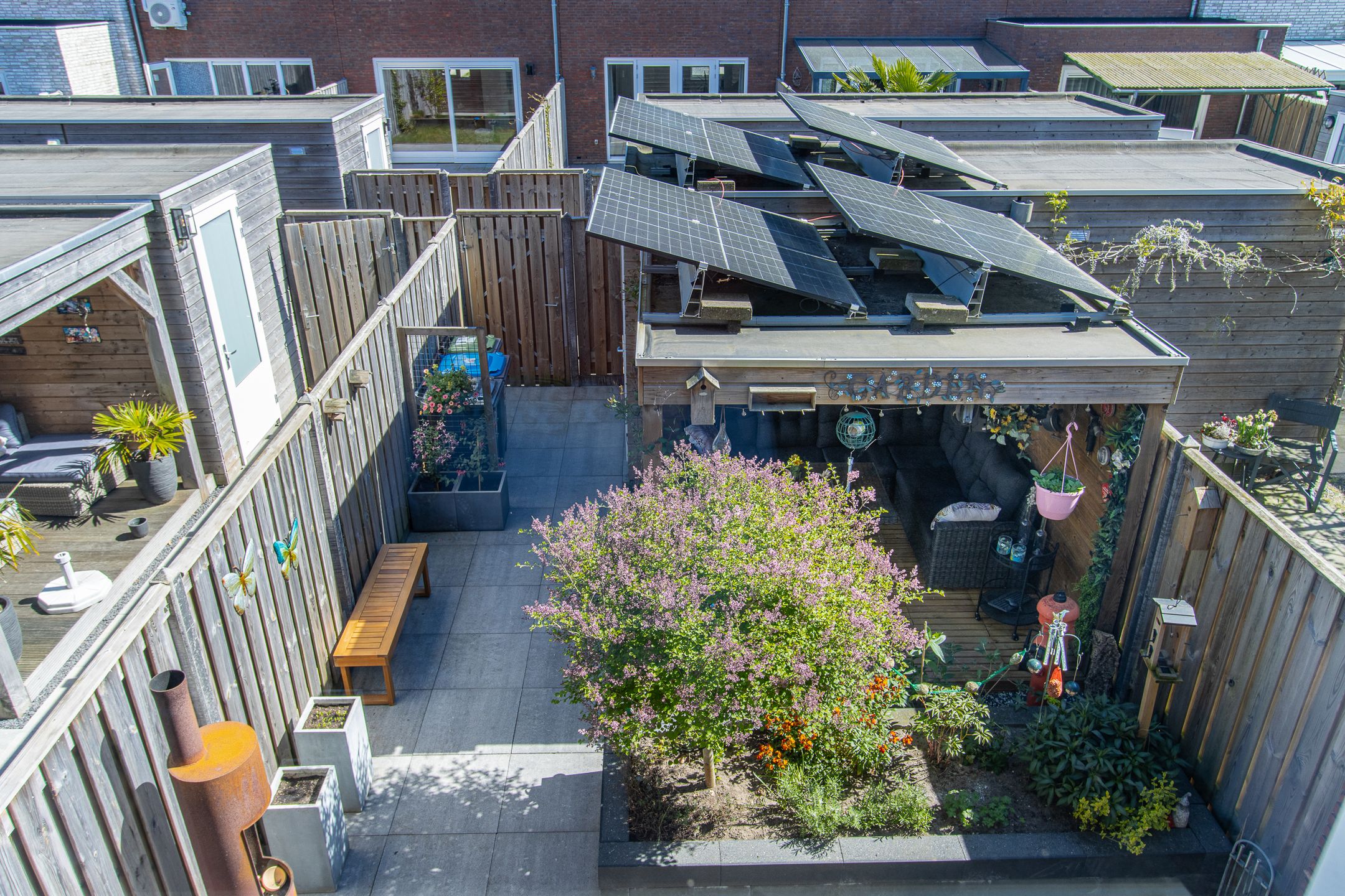 Photo 3 of Zonnebaars 15