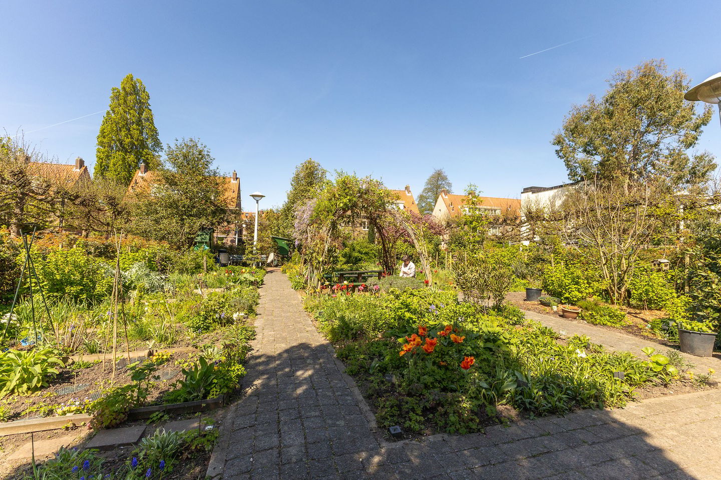 Photo 40 of Weidestraat 15