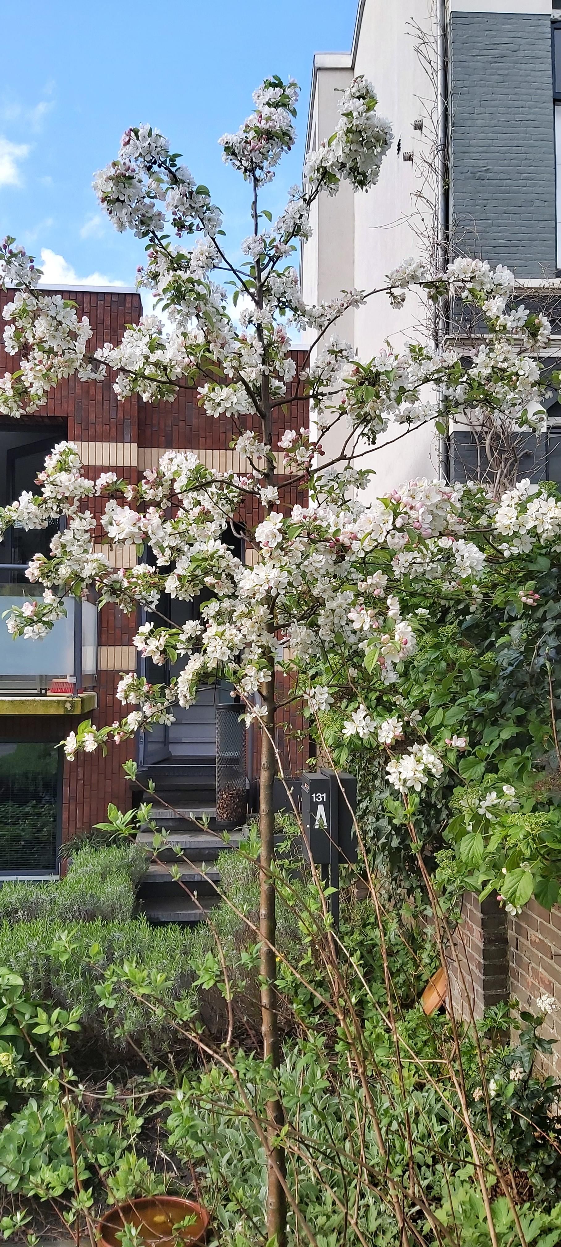 Photo 54 of Boulevard Heuvelink 131-A