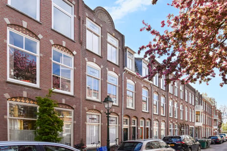 Van Loostraat thumbnail