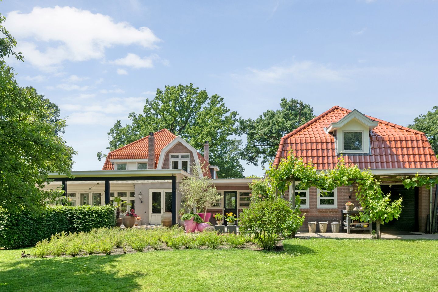 Foto 4 van Werkhorst 5