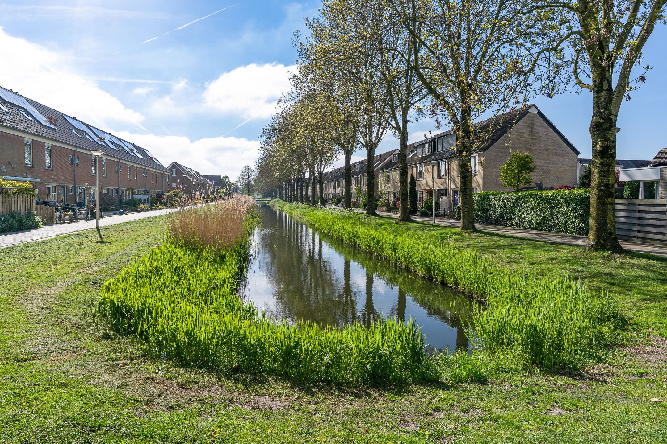 Photo 30 of Zuidplaslaan 48