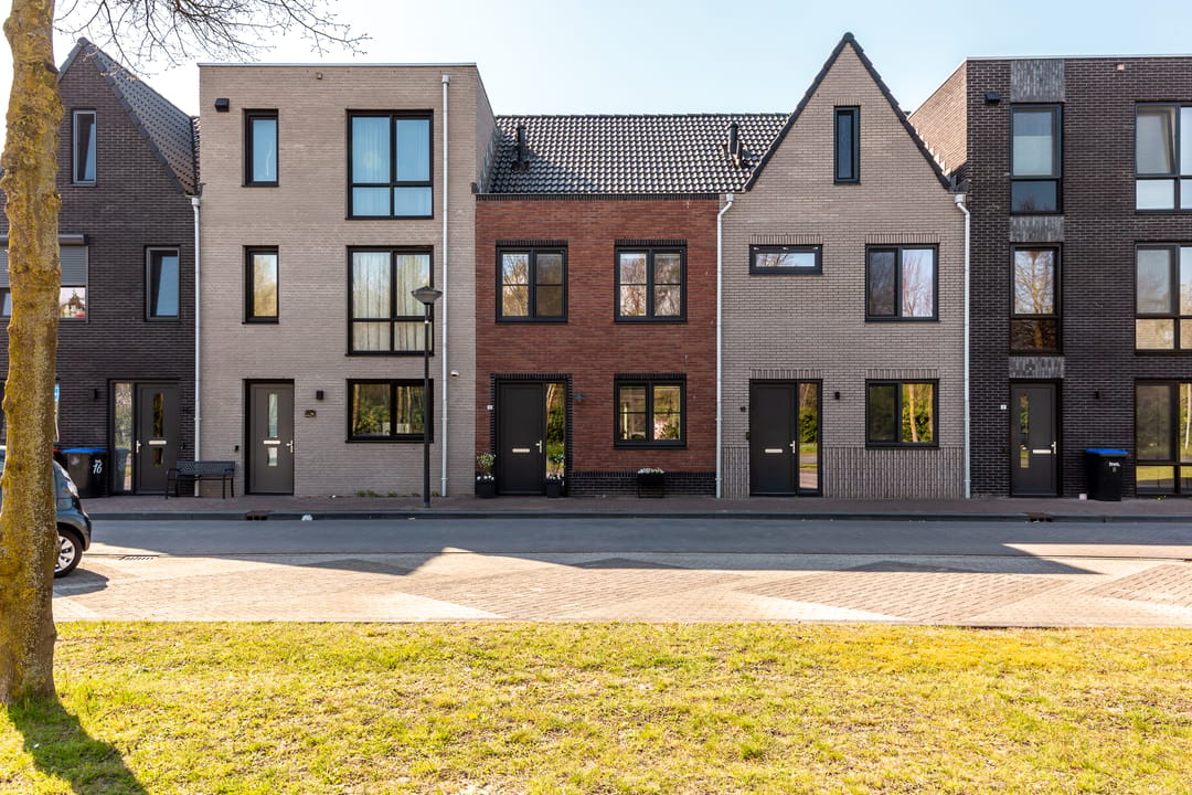Foto 1 van Hollandse linde 12