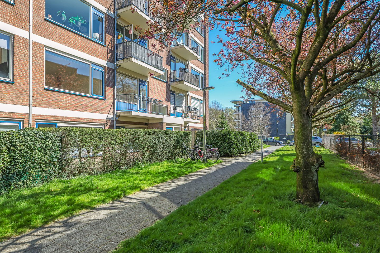 Foto 4 van Heijermansstraat 29