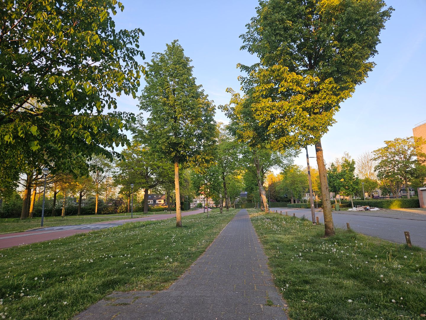 Photo 29 of Wilderen 148