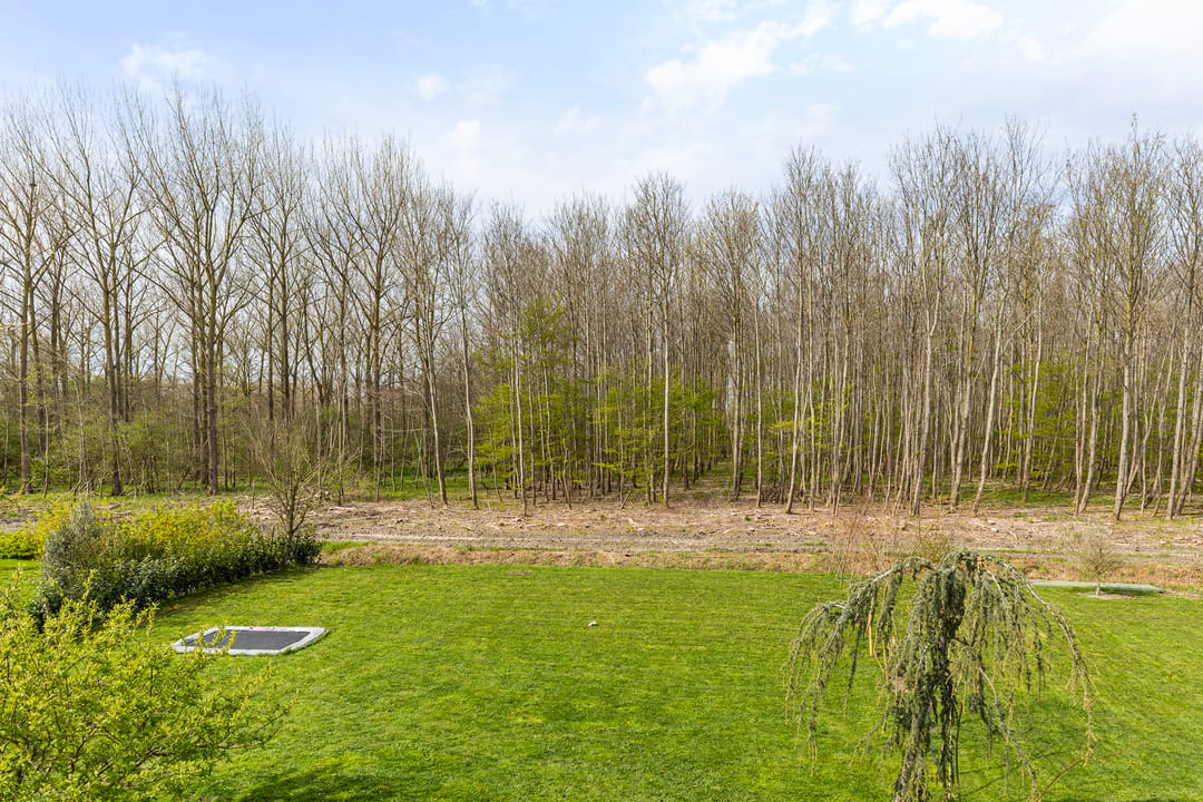 Thatched Detached Home on Spacious Plot Adjacent to Forest Edge — 28