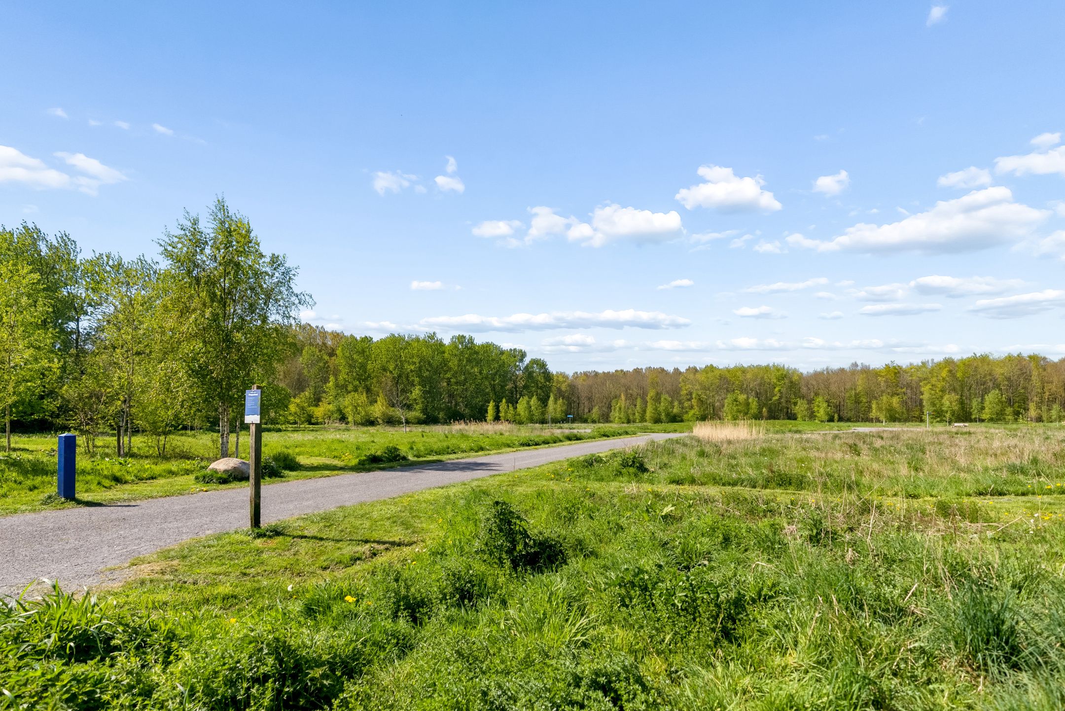 Photo 75 of Homeruslaan 49