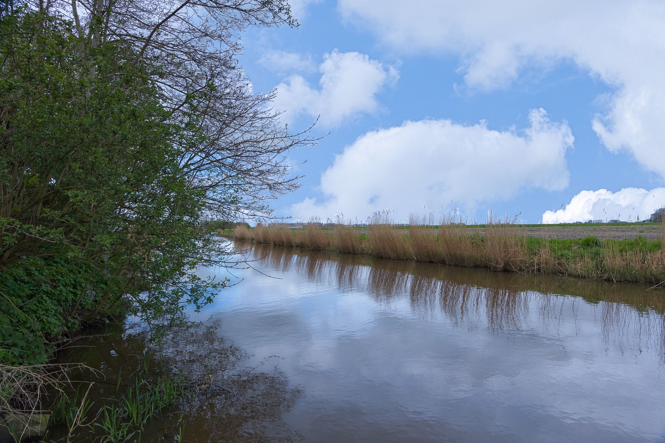 Photo 51 of Eenrumerweg 34