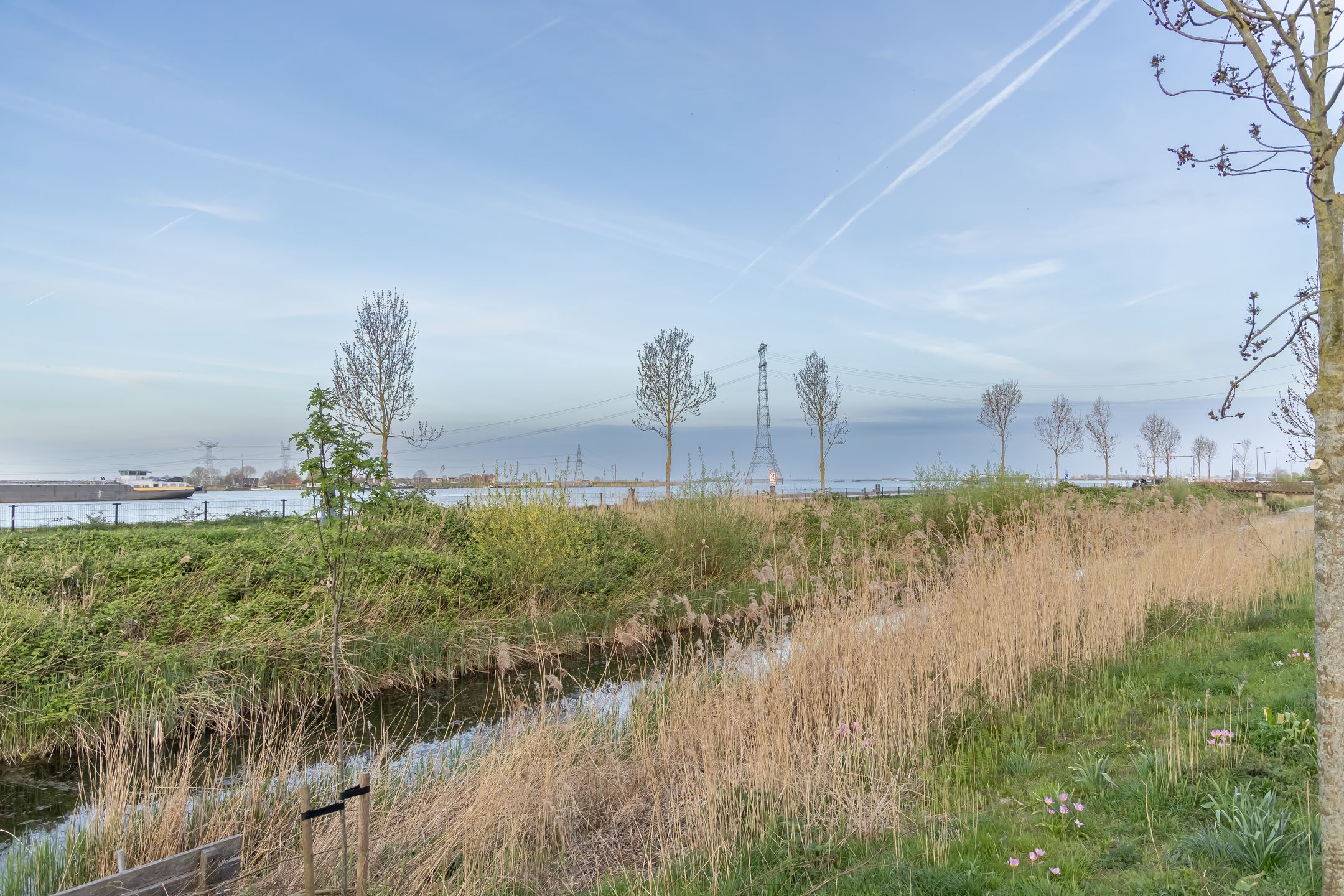 Photo 42 of Faas Wilkesstraat 223