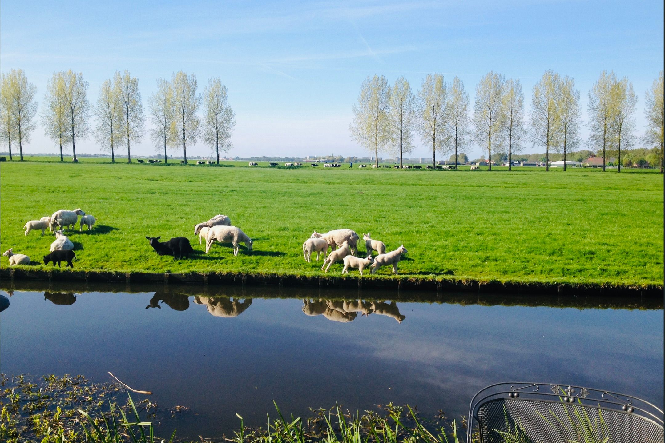 Foto 6 van De Hoorn 32
