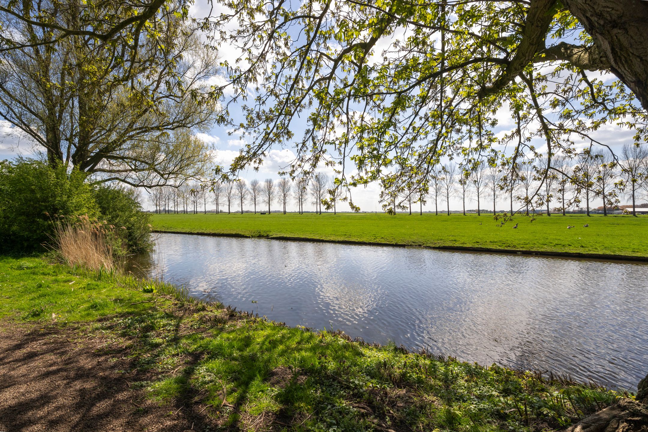 Foto 48 van De Hoorn 32