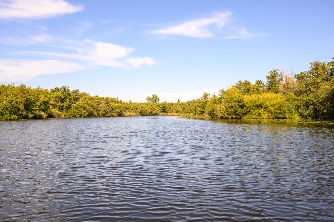 Stunning waterfront bungalow surrounded by nature with private dock — 46