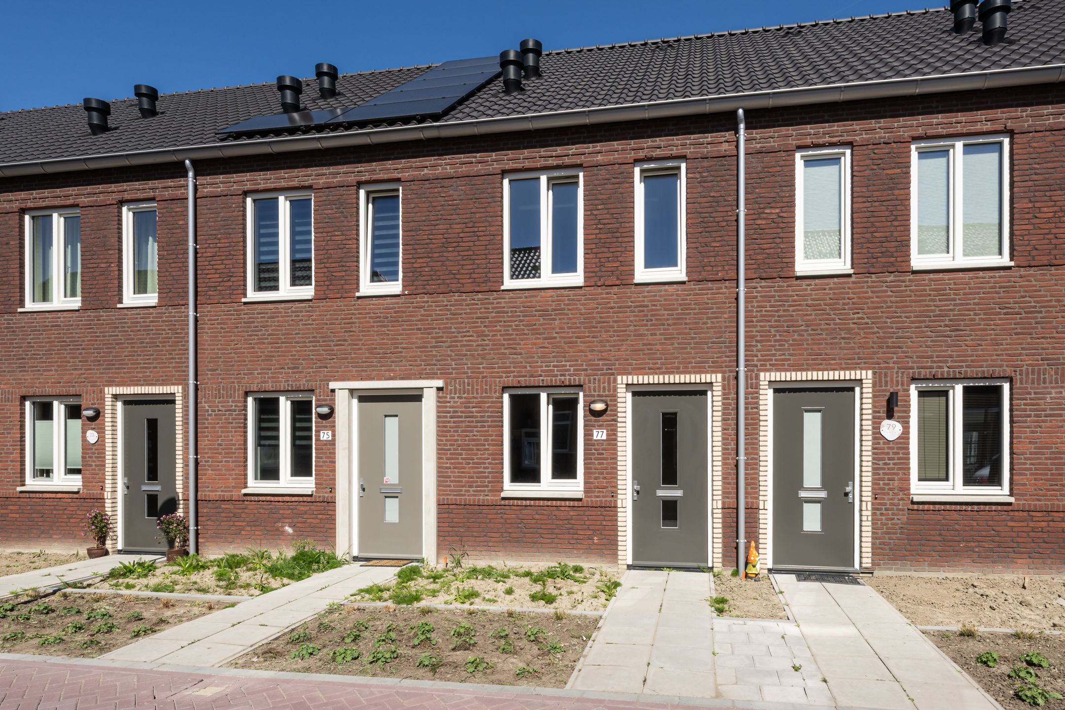 Bernhardstraat 77