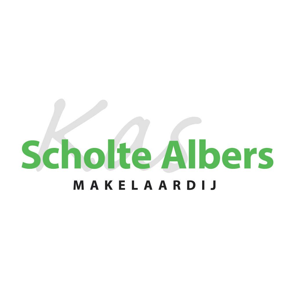 Scholte Albers Makelaardij