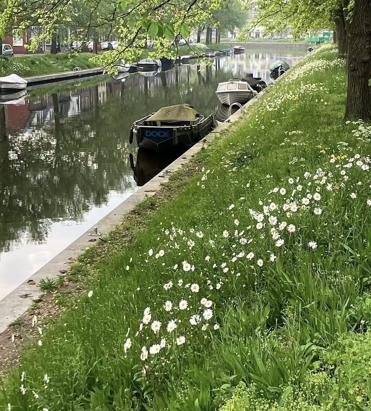 Foto 39 van Molengracht 37