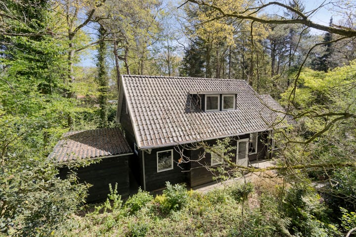 Foto 3 van Peizerpad 16