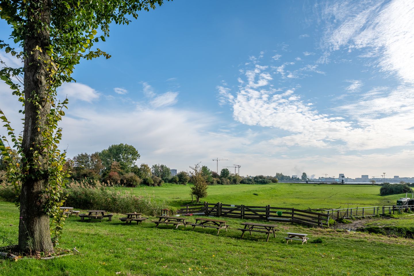 Photo 40 of Nieuwendammerdijk 21