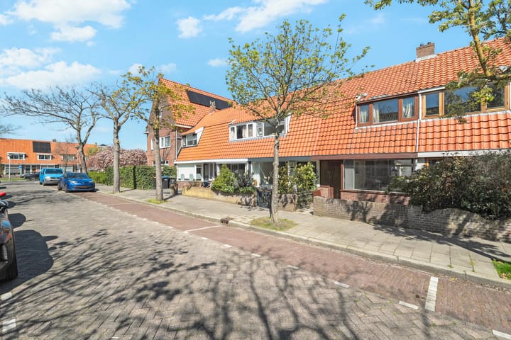 Foto 3 van Hector Treubstraat 53