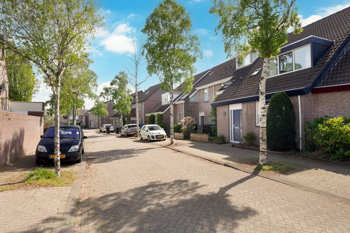 Foto 5 van De Meer 6
