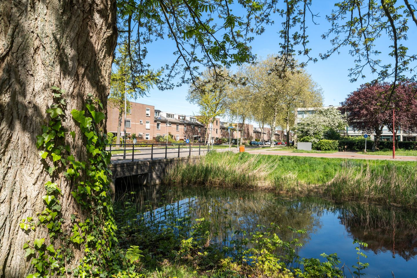 Foto 49 van Geel-groenlaan 67