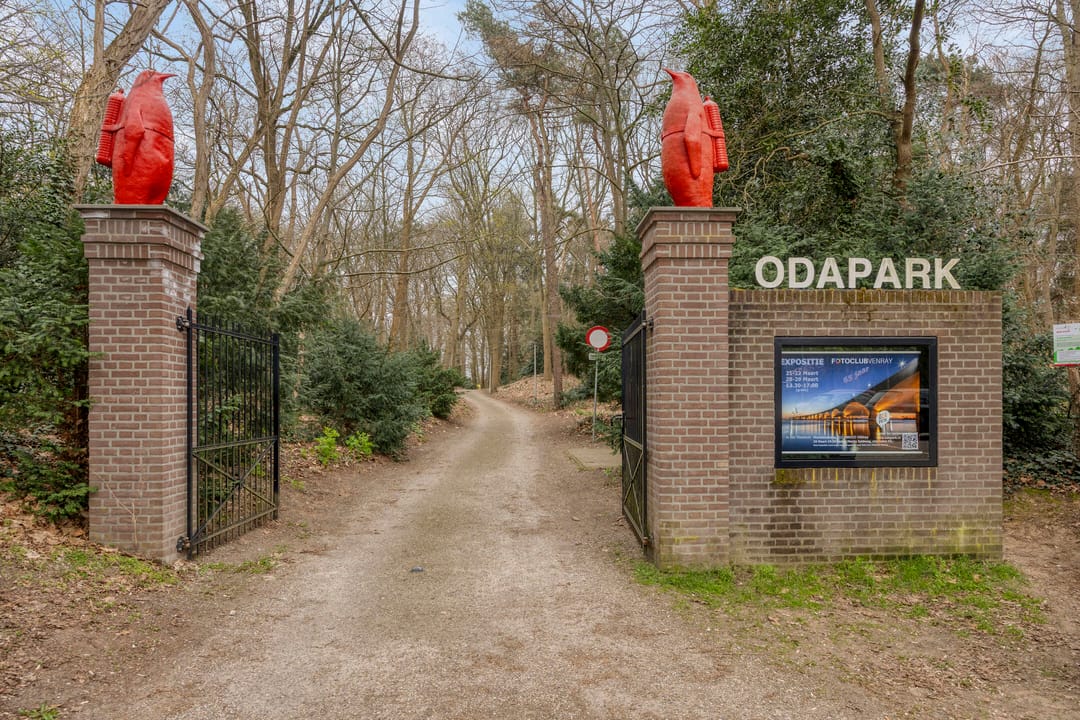 Foto 41 van Hoenderstraat 67