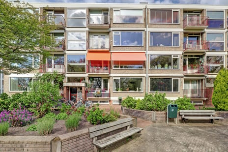 Stadswal thumbnail